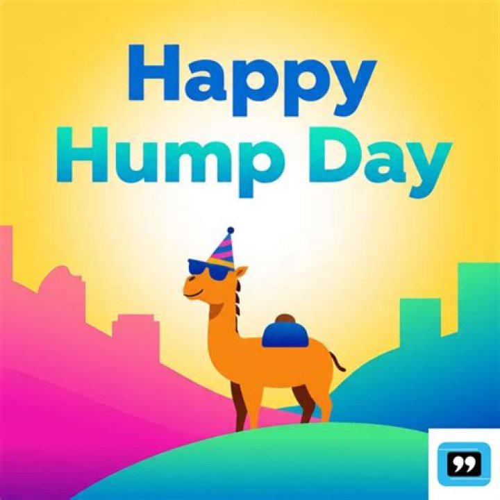 A Collection Of Happy Hump Day Pics To Brighten Your Midweek