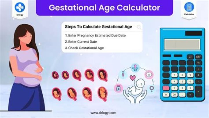 Calculate Hasbulla's Age: Instant Age Calculator