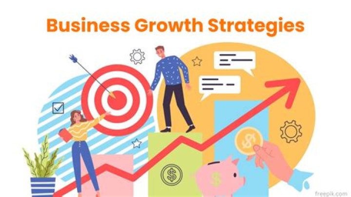 Camilla Araujo Of Leks: Strategies For Business Growth