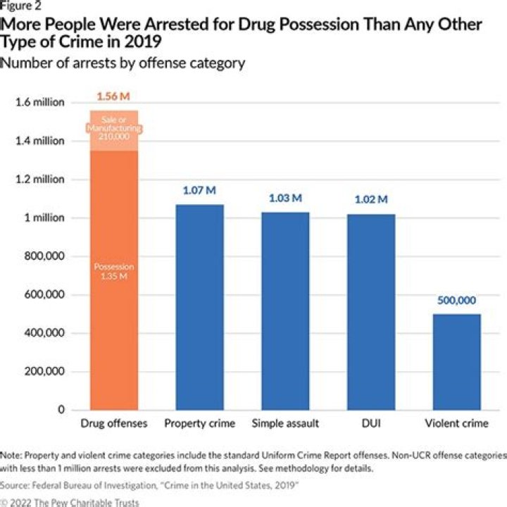 Controversial Revelations: Jade Castrinos' Involvement In Drug-Related Activities
