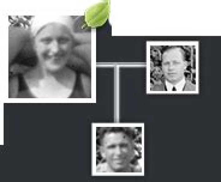 Denise Bellingham's Ancestry And Family Background