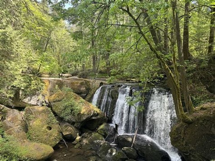 Discover Bellingham, A Welcoming Haven For Families