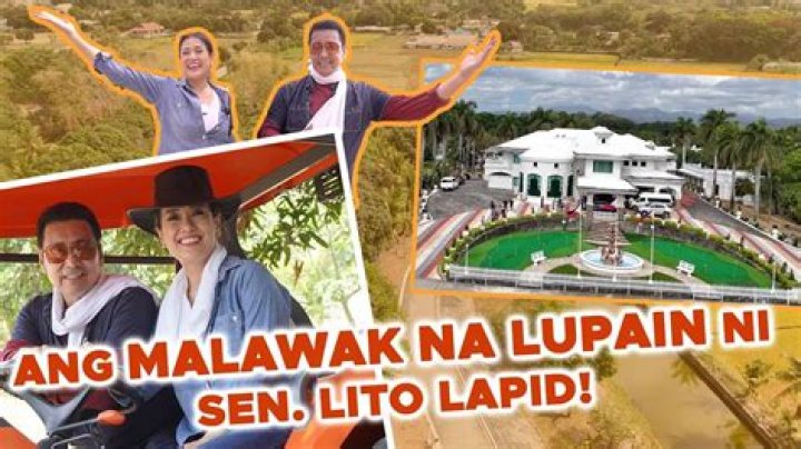 Discover The Life And Impact Of Lito Lapid's Wife