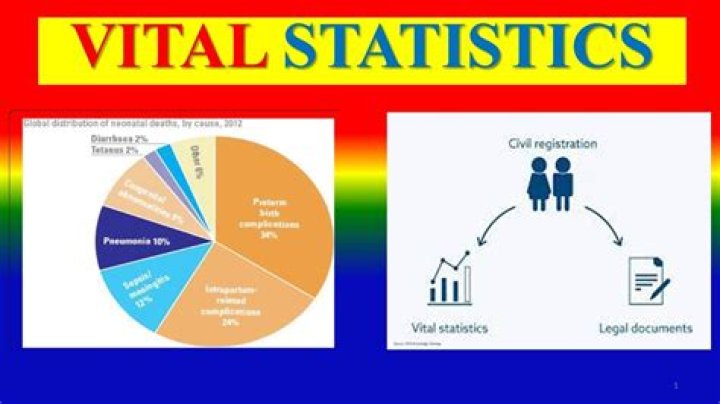 Discover Tyla's Vital Statistics For A Comprehensive Profile