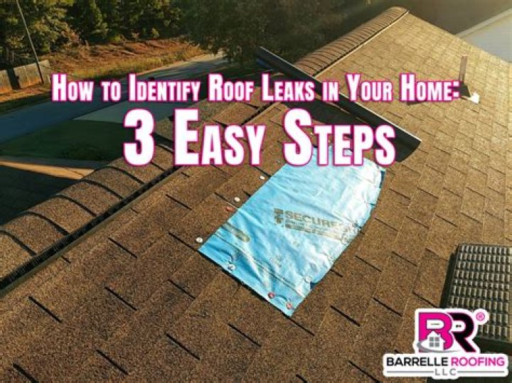 Download Sophie Rain Leaks: The Ultimate Guide To Repairing Leaks In Your Roof
