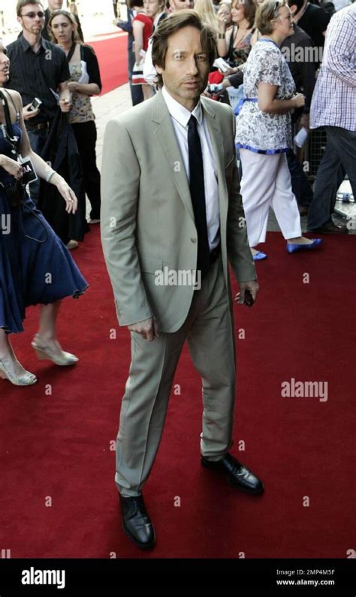 Find Out About David Duchovny's Son