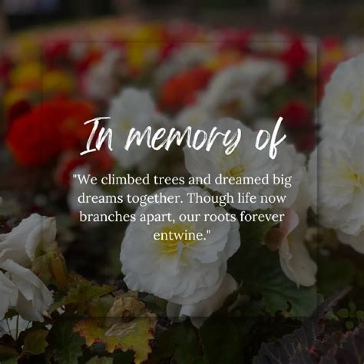 In Memoriam: Remembering The Life Of Zachary La Voy