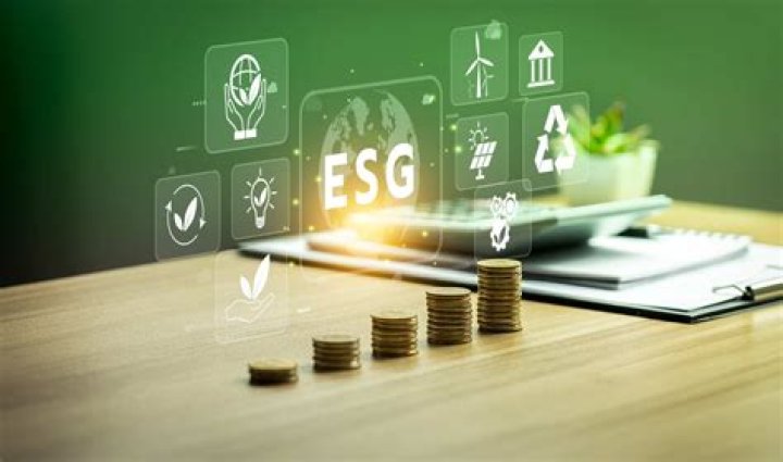 Meet Daynise Gatlin: Renowned Expert On Sustainable Finance
