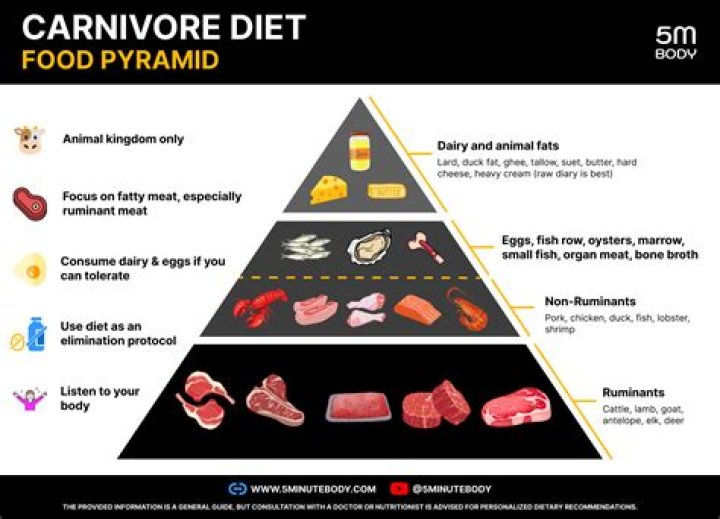 Mikhaila Peterson's Journey Before The Carnivore Diet