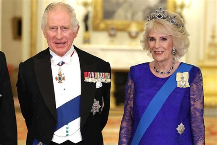 Most Up-to-Date Camilla ArajoLeaks News And Updates