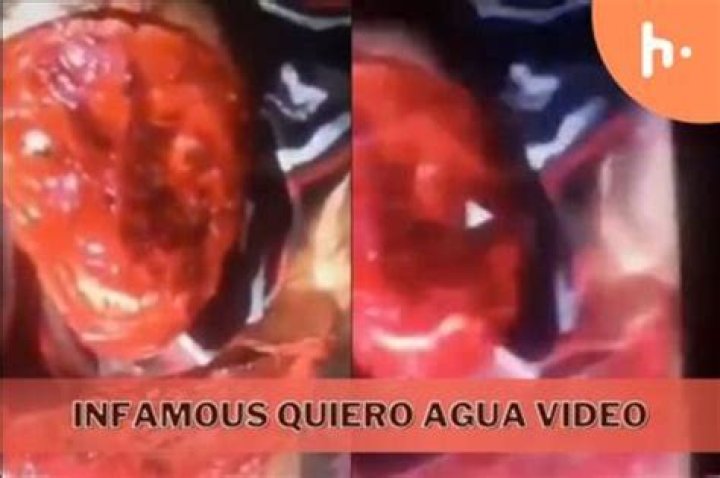 Quiero Agua Video Gore: Exploring The Shocking Trend In Online Videos