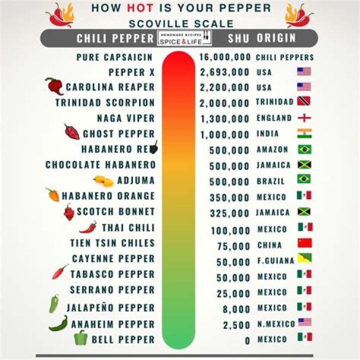Red Hot Chili Peppers' Girlfriends: A Comprehensive Guide