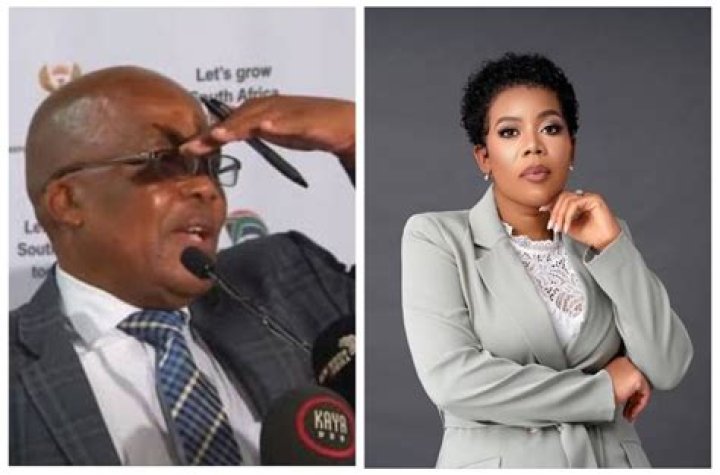 The Complete Guide To Dr. Aaron Motsoaledi's Wife