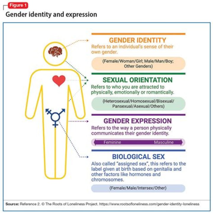 The Inquiry Into Kaitlyn Collins' Gender Identity: Is She Transgender?