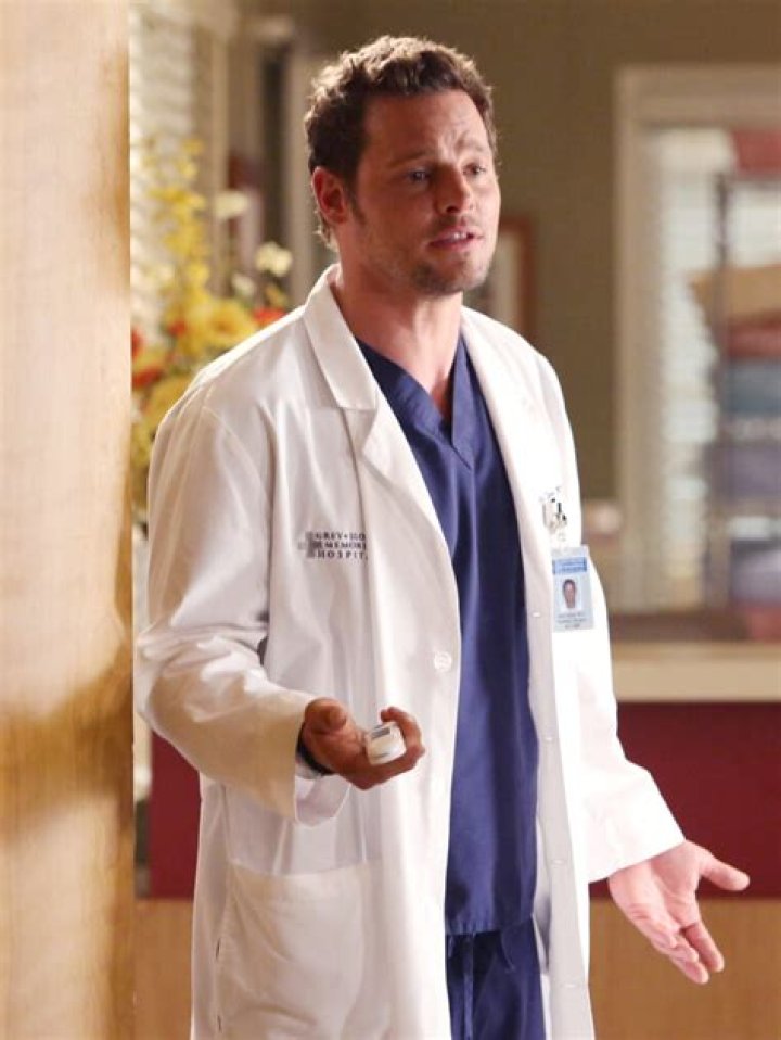 The Ultimate Guide To TV Shows Featuring Alex Karev