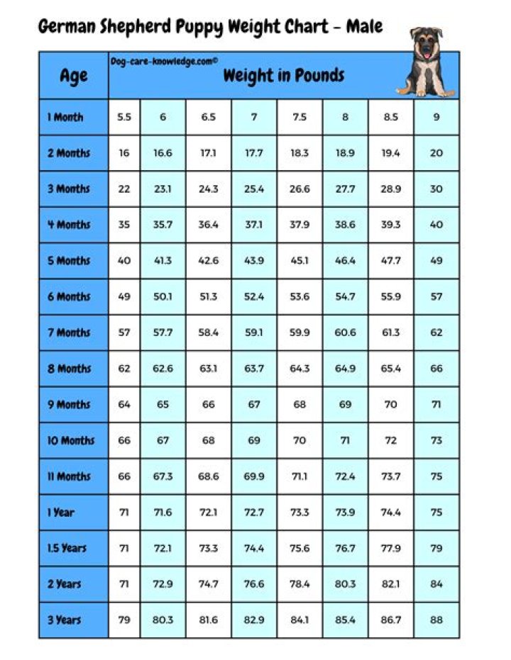 The Ultimate Guide To Understanding The Weight Of A Yam