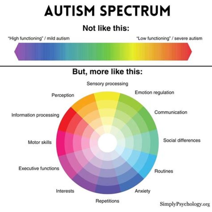 Unlock The Truth: Elizabeth Holmes And The Autistic Spectrum
